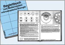 Libro acompañante con textos y 175 dibujos - español