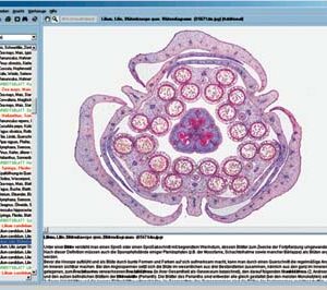 CD con imágenes microscópicas para la serie formativa A