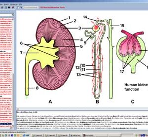 CD con imágenes microscópicas para la serie formativa C