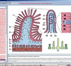 CD con microtomas para la serie formativa D