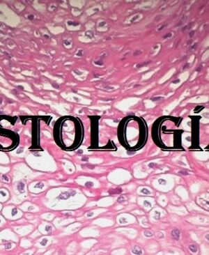 Histología